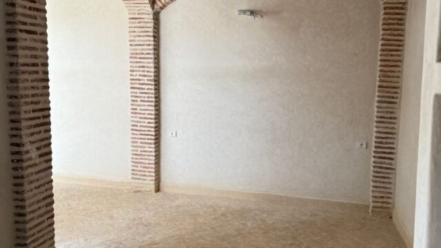 WhatsApp-Image-2026-03-13-at-03.23.02