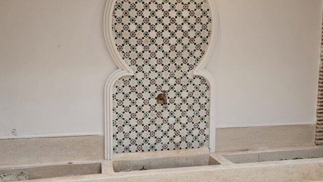 WhatsApp-Image-2026-03-13-at-03.23.04-1