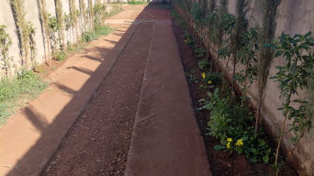 WhatsApp-Image-2026-03-13-at-22.04.34