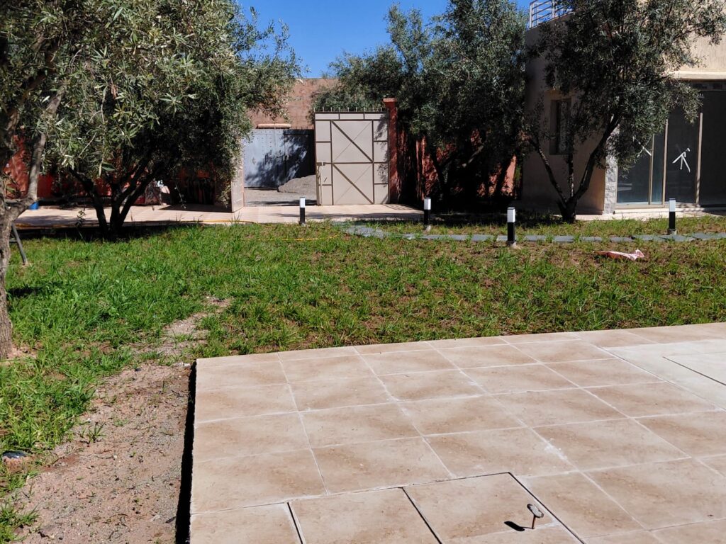 WhatsApp-Image-2026-03-13-at-22.06.04-2