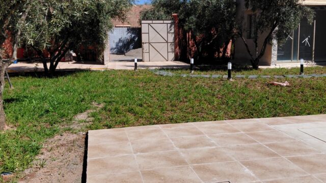 WhatsApp-Image-2026-03-13-at-22.06.04-2