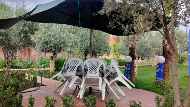 WhatsApp-Image-2026-03-18-at-10.25.21-3