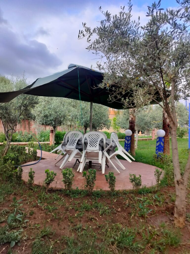 WhatsApp-Image-2026-03-18-at-10.25.21-3