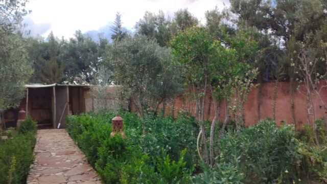 WhatsApp-Image-2026-03-18-at-10.25.21