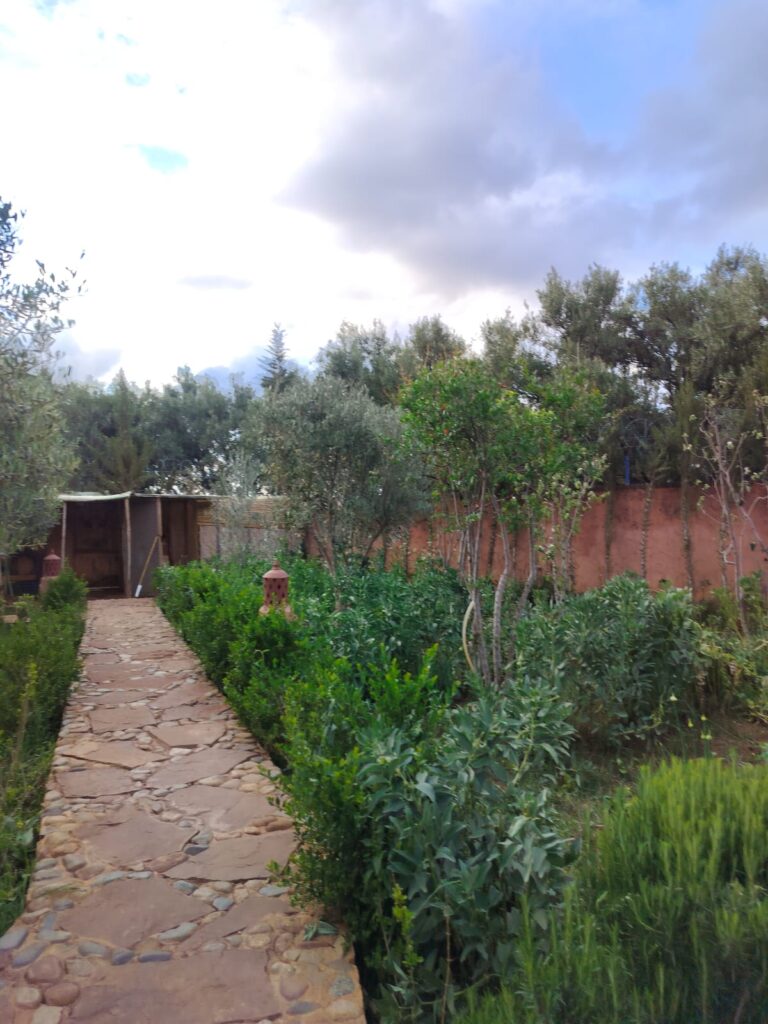 WhatsApp-Image-2026-03-18-at-10.25.21