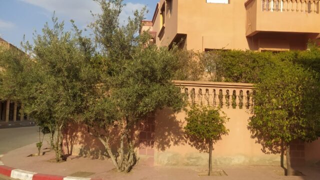 WhatsApp-Image-2026-03-30-at-17.56.39-4