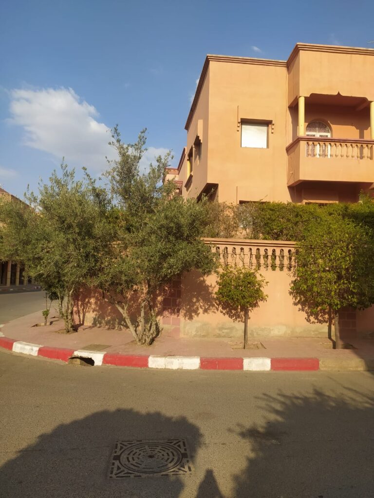 WhatsApp-Image-2026-03-30-at-17.56.39-4