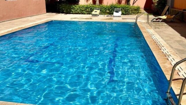 WhatsApp-Image-2026-03-31-at-12.37.32