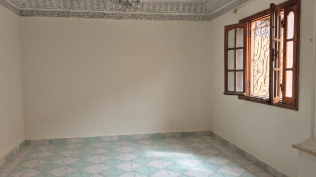 WhatsApp-Image-2026-04-09-at-17.02.36-3