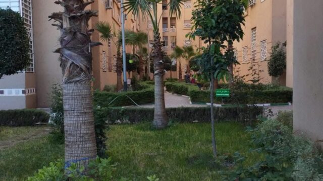 WhatsApp-Image-2026-04-14-at-09.46.28-3