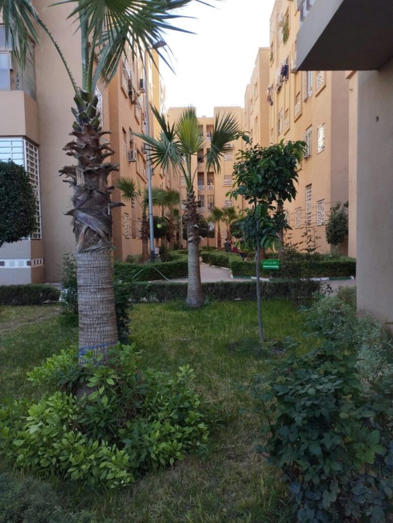 WhatsApp-Image-2026-04-14-at-09.46.28-3