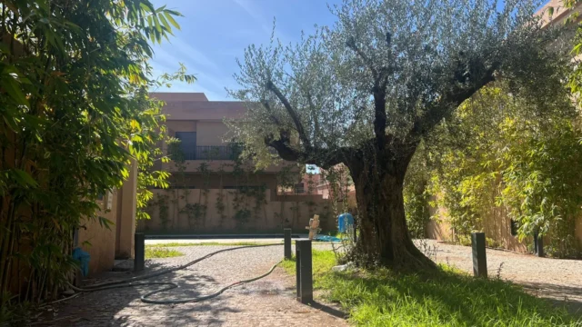villa à vendre à Chrifia Marrakech, photo 2