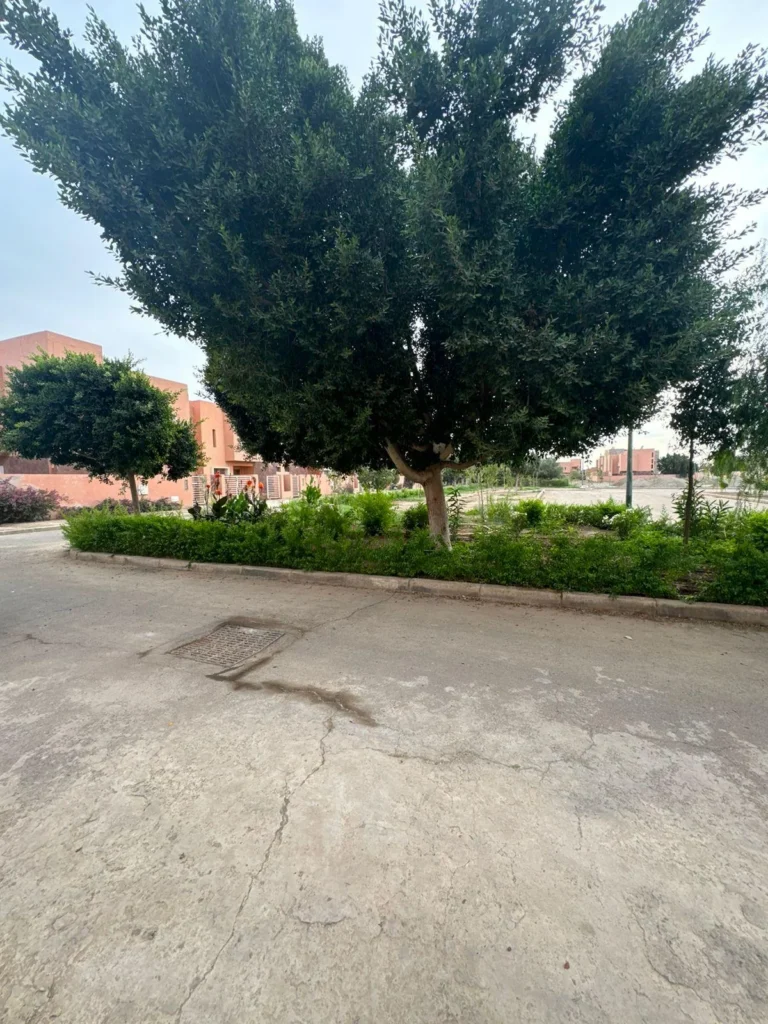 Villa à Tamansourt, Marrakech, photo 50