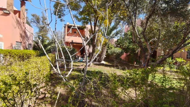 Villa à Palmeraie, Marrakech, photo 2