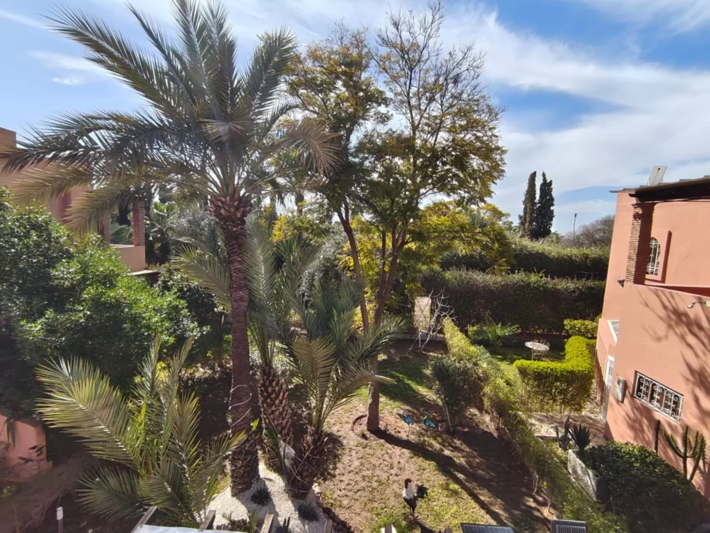 Villa à Palmeraie, Marrakech, photo 20